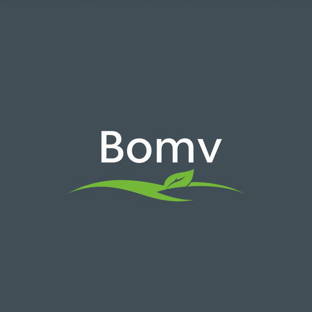 Bomvcompany logo - empresa de servicios financieros especializada en gestión presupuestaria y optimización de finanzas personales